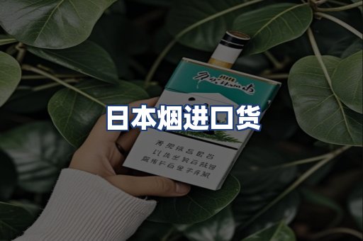 日本烟进口货